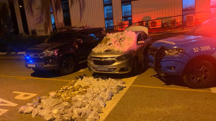 As drogas que, segundo a polícia, seguiriam para a Região dos Lagos — Foto: Polícia Federal/Divulgação