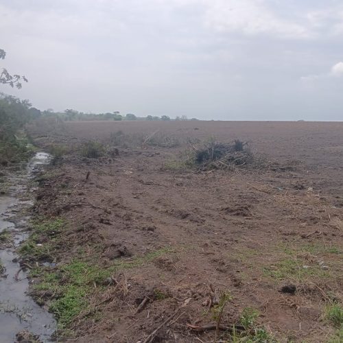 Área equivalente a mais de 14 campos de futebol é encontrada degradada em Campos, após denúncia