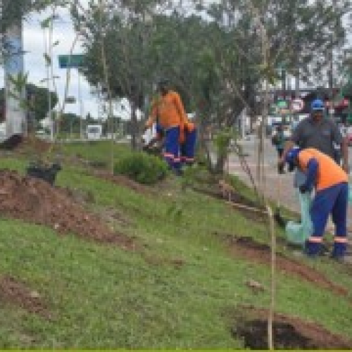Revitalização dos jardins e áreas verdes é iniciada