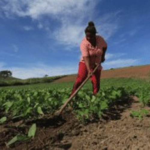 Eleição para Conselho de Desenvolvimento Rural