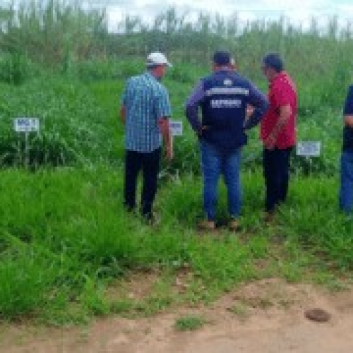 Rio das Ostras busca novas tecnologias para produção rural
