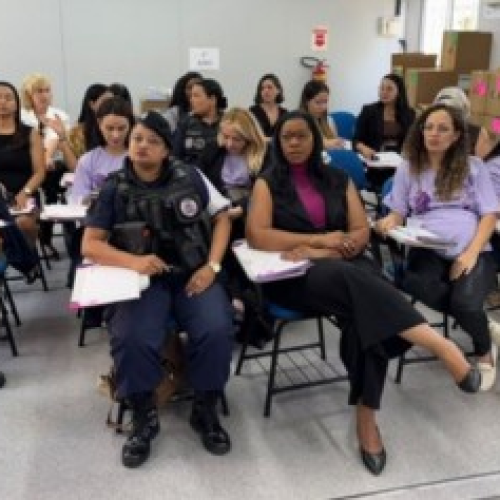 Capacitação para fortalecer rede de proteção às mulheres