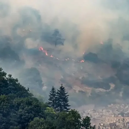 Incêndios devastam florestas durante calor intenso na Europa