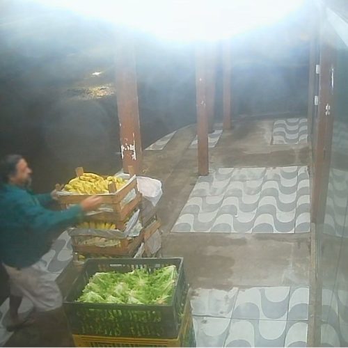 Homem furta 60 quilos de bananas-prata de hortifruti em Cabo Frio; vídeo