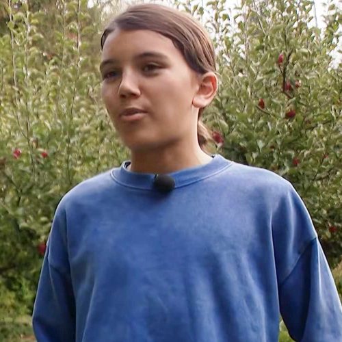 ‘Era lutar ou morrer’: menino de 12 anos soca olho de urso e escapa de ataque nos EUA