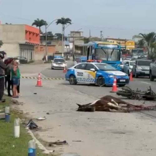 Motociclista morre após bater em cavalo na RJ-106, em Maricá