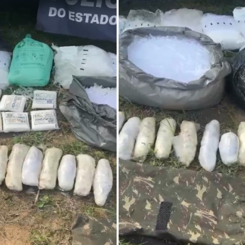 Polícia apreende mais de 11 kg de maconha escondidos em área de mata em Cabo Frio, no RJ