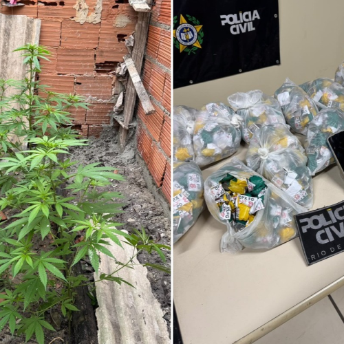 Quatro suspeitos são presos com 1,4 mil frascos de cocaína e pés de maconha em Arraial do Cabo