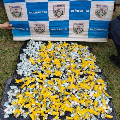 Denúncia anônima leva policiais a apreender mais de 500 pinos de cocaína em São Pedro da Aldeia