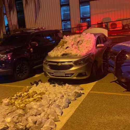 As drogas que, segundo a polícia, seguiriam para a Região dos Lagos — Foto: Polícia Federal/Divulgação