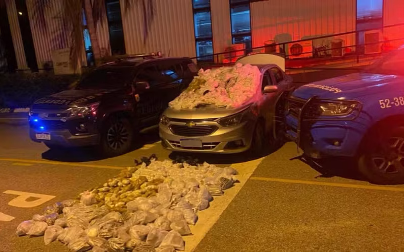 As drogas que, segundo a polícia, seguiriam para a Região dos Lagos — Foto: Polícia Federal/Divulgação