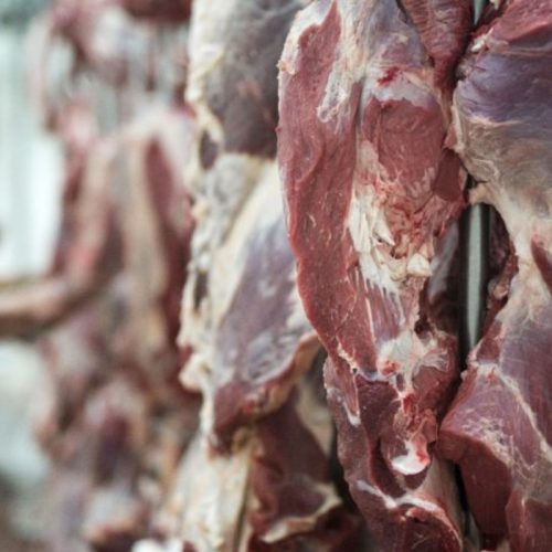 Brasil deve atingir cota de exportação de carne para a China em agosto, e preço do boi gordo cai