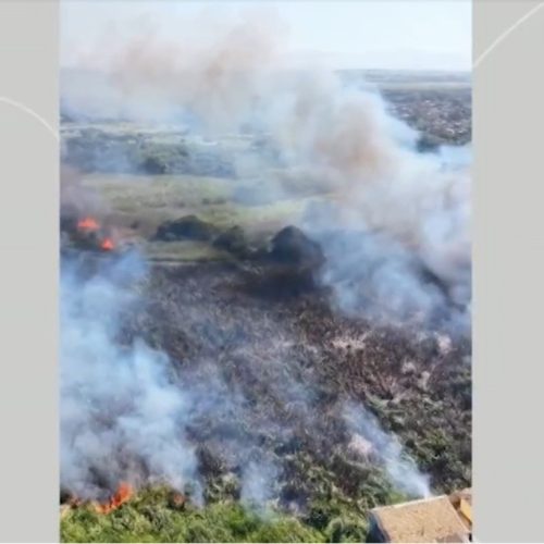 Vídeo mostra incêndio em área de mata em Tamoios