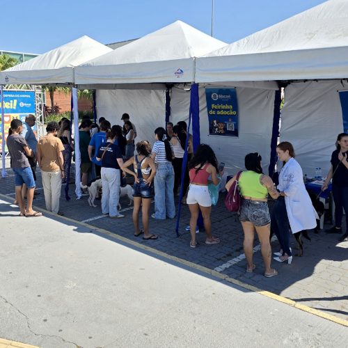 Parte da família: Macaé garante cuidado integral para animais domésticos