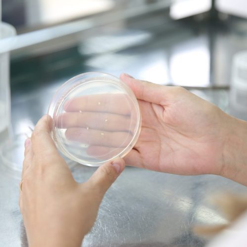 Alimentos editados geneticamente: o que são e o que dizem críticos e defensores
