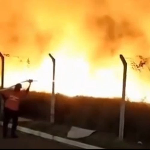 VÍDEO: incêndio atinge dois mil metros quadrados de vegetação em Búzios