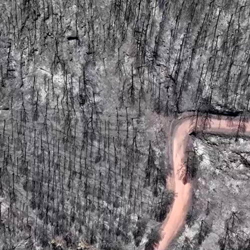 VÍDEO mostra devastação em florestas da Espanha após incêndios em meio a onda de calor