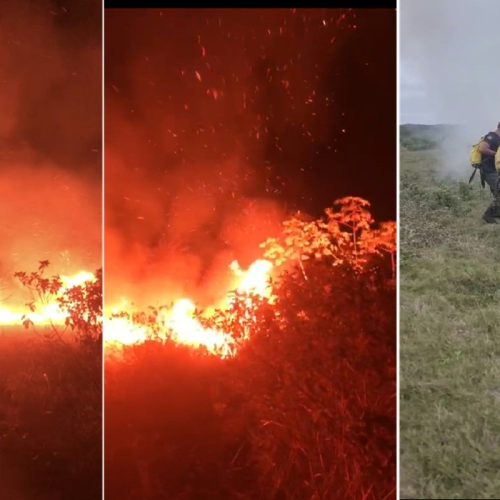 VÍDEO: incêndio atinge áreas de restinga e reserva ambiental em Arraial do Cabo