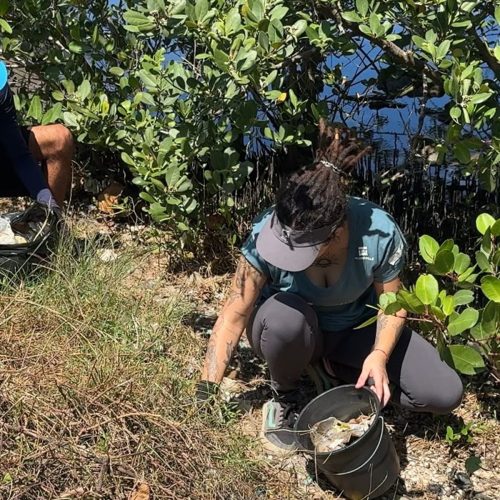 Voluntários fazem ação de limpeza na Laguna de Araruama em Cabo Frio