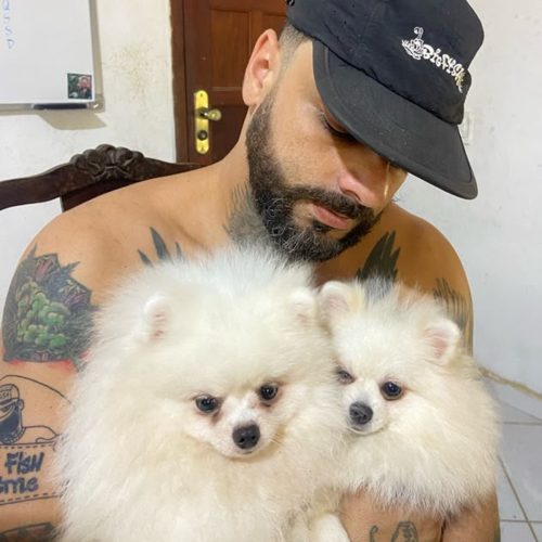 VÍDEO: artista plástico reencontra cães levados durante assalto violento em Araruama: ‘São como filhos’