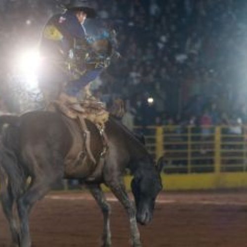 Expo Macaé vai unir agronegócio e grandes atrações