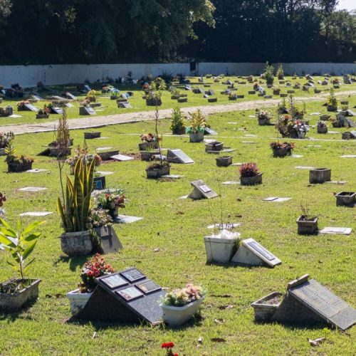 Sepultamento de cães e gatos amplia demanda por jazigos