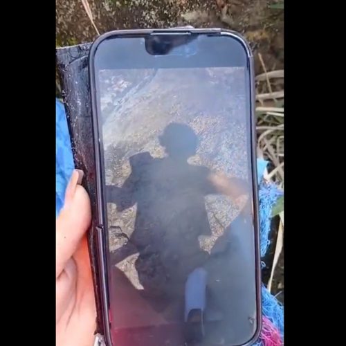 Vídeo mostra desespero de integrante de grupo que viu guia cair de penhasco no RJ
