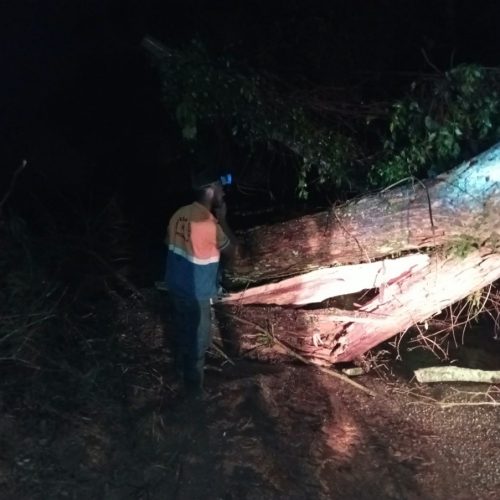 Porciúncula registra chuva de granizo, alagamentos e queda de árvores