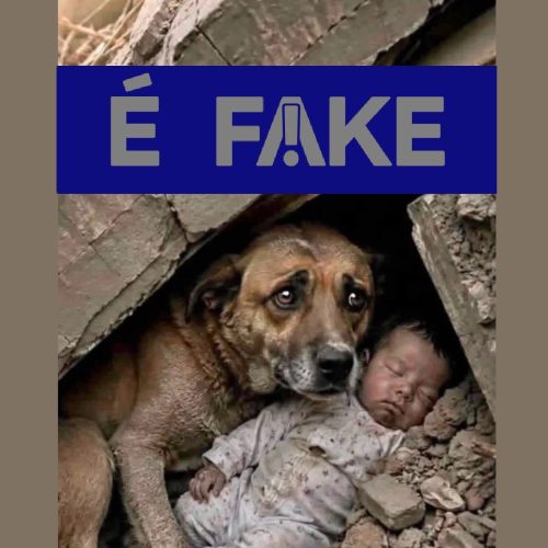 É #FAKE foto de cachorro protegendo bebê em terremoto na Venezuela; imagem foi criada com inteligência artificial