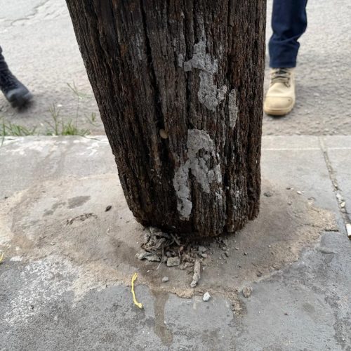 Postes com cupins e risco de queda são identificados em Cabo Frio; Enel será notificada